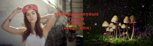 apvp Балабаново