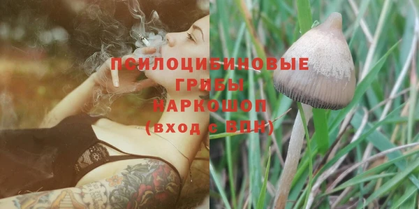 apvp Балабаново