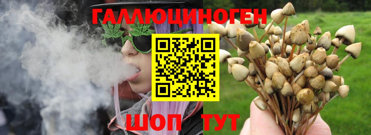 Галлюциногенные грибы мухоморы  Вход с VPN  Зима 