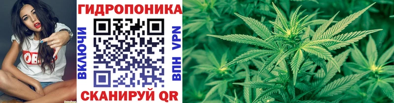 Шишки марихуана Bruce Banner  Зима 